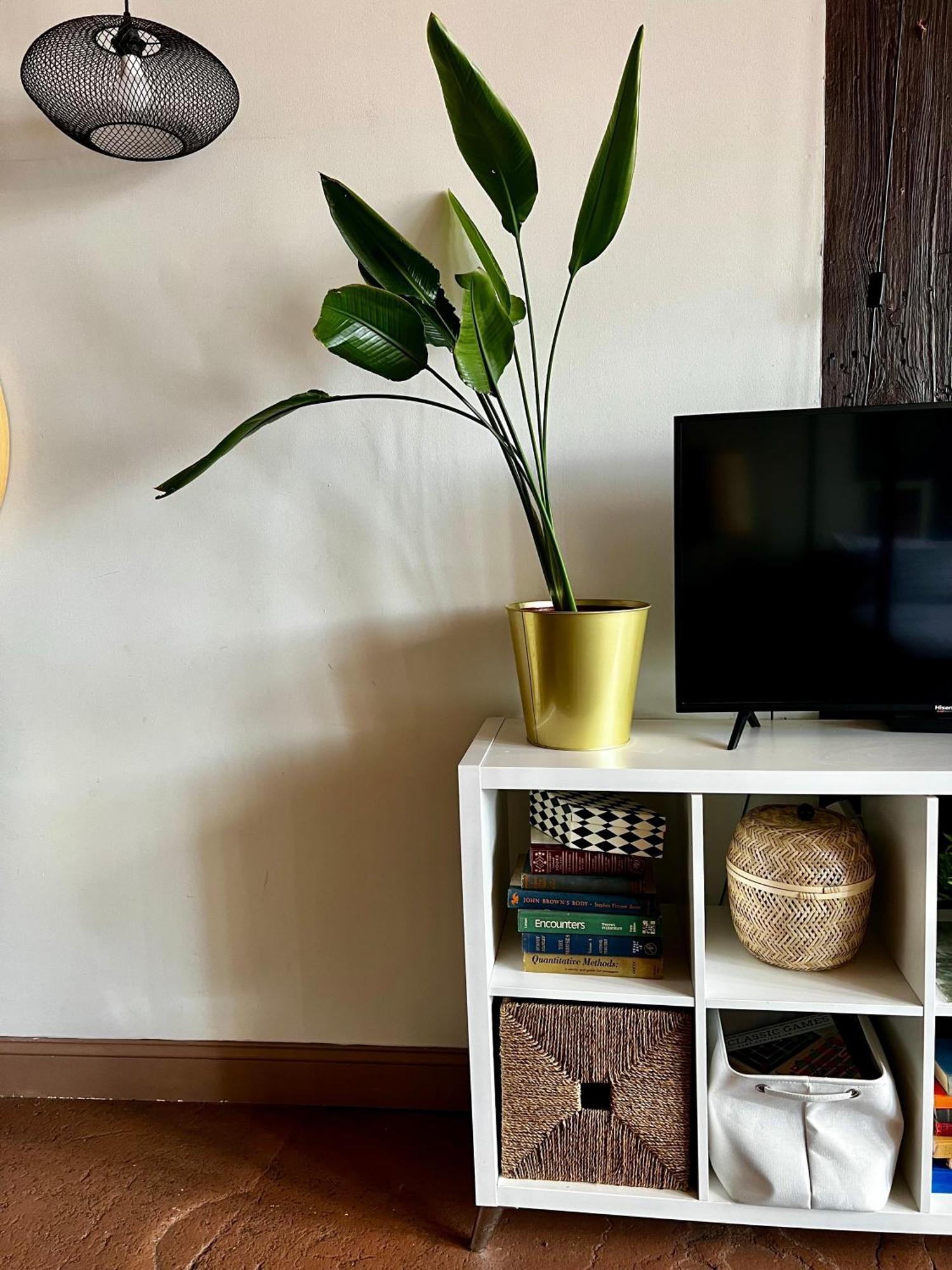 420 Friendly Boho Loft Downtown King Suite Free Parking Детройт Экстерьер фото